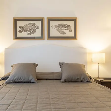 Lido アラッシオ